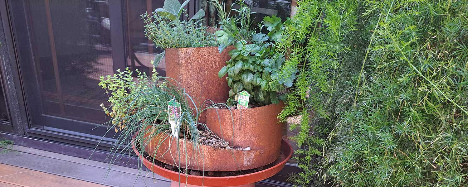 Decorative spiral planter with herbs
